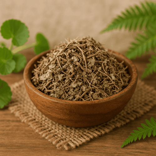 Feuilles de Gotu Kola séchées – plante ayurvédique pour la mémoire et la peau