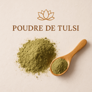 Tulsi en poudre